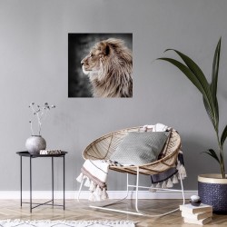 Tableau sur toile Lion de Profil 65x65 cm