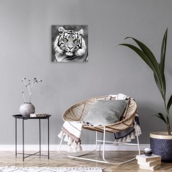 Tableau sur toile Tigre Noir et Blanc de Face 30x30 cm