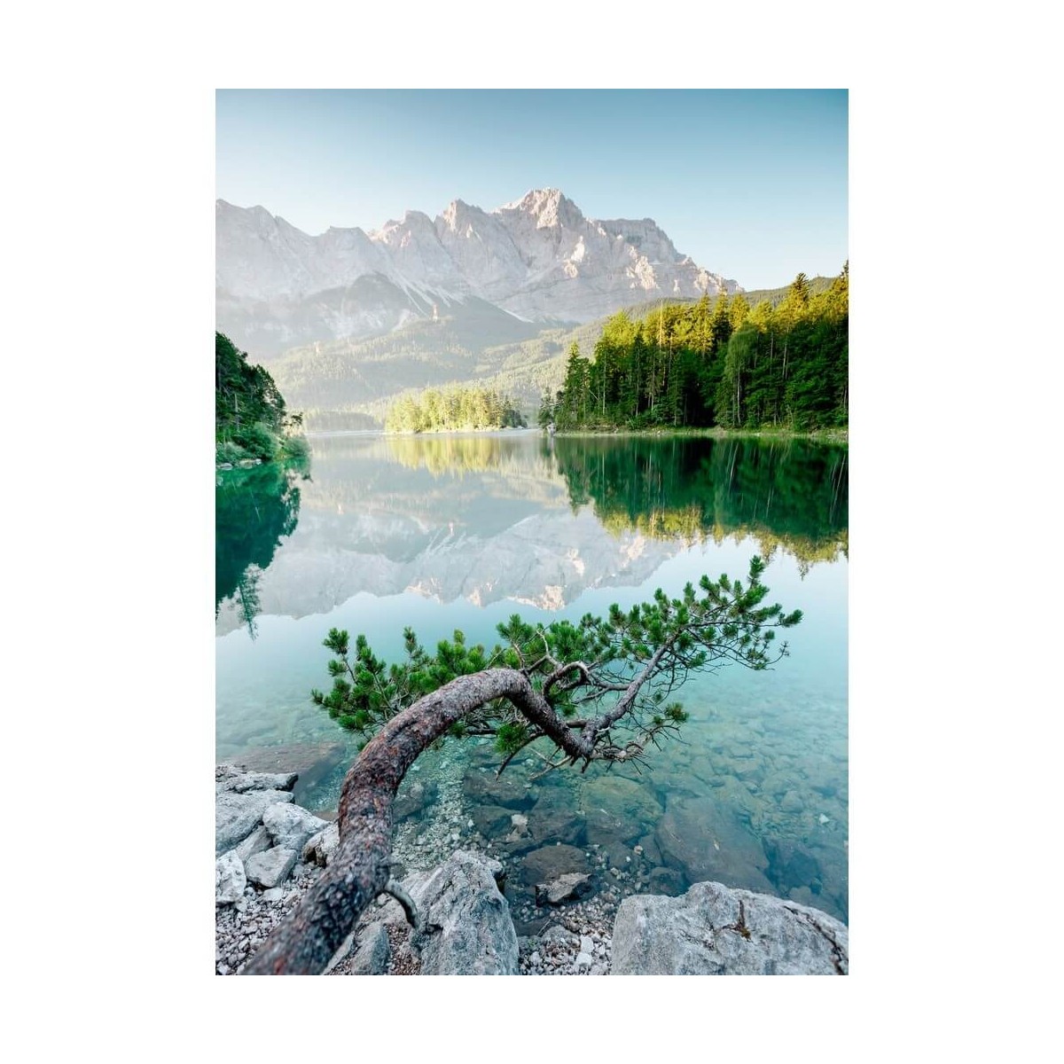 Tableau sur toile Branche Sur le Lac