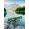 Tableau sur toile Branche Sur le Lac