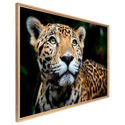 Tableau mural mat encadré léopard 65x97 cm biais