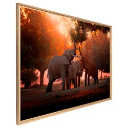 Tableau mural mat encadré famille éléphant 65x97 cm biais