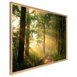 Tableau mural mat encadré rayon de soleil 65x97 cm biais