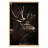 Tableau mural mat encadré cerf impérieux 65x97 cm face