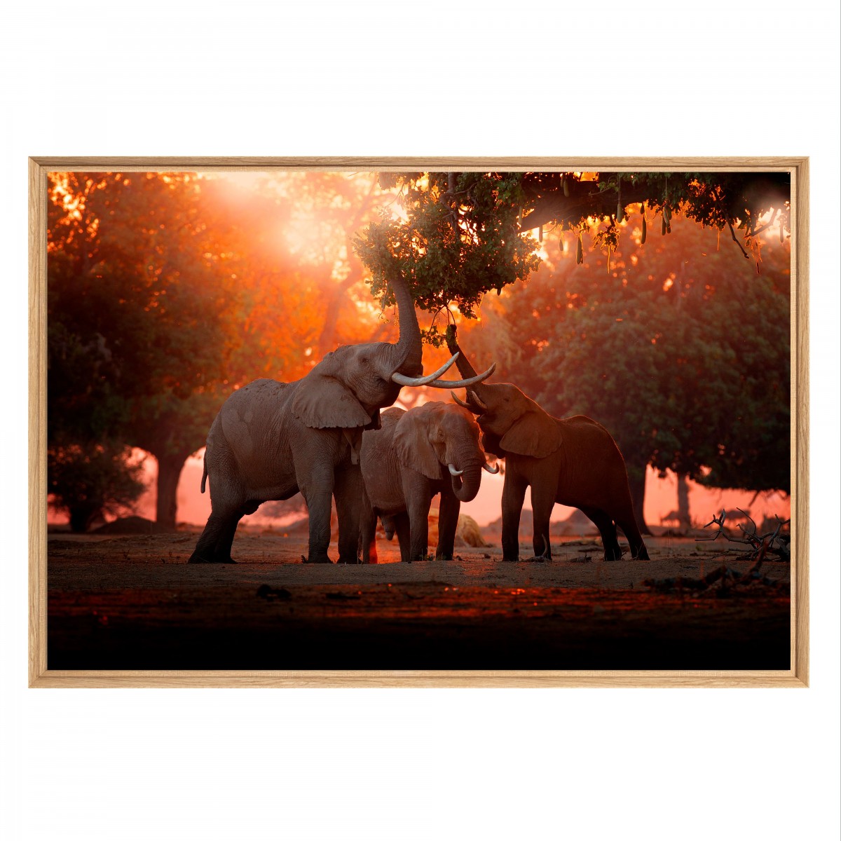 Tableau mural mat encadré famille éléphant 65x97 cm face Tableau mural mat encadré famille éléphant 65x97 cm face