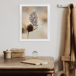 Cadre photo Carmen blanchi 40x50 cm ambiance