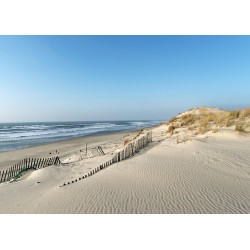 Tableau mural dune littoral