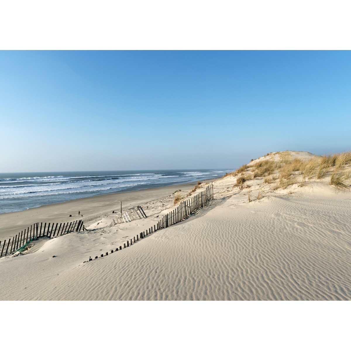 Tableau mural dune littoral