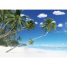 Tableau mural plage de palmiers