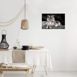 Tableau sur toile tigre en observation 30x45 cm ambiance