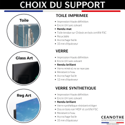 Choix du support