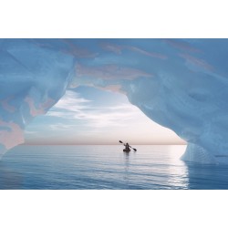 Tableau mural seul dans l'arctique