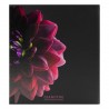 Album photos pochettes dahlia 200 photos 11,5x15 cm dos