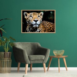 Tableau mural mat encadré léopard 65x97 cm ambiance