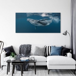 Tableau sur verre synthétique baleine 65X145 cm