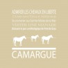 Tableau sur toile Camargue beige 30x30 cm