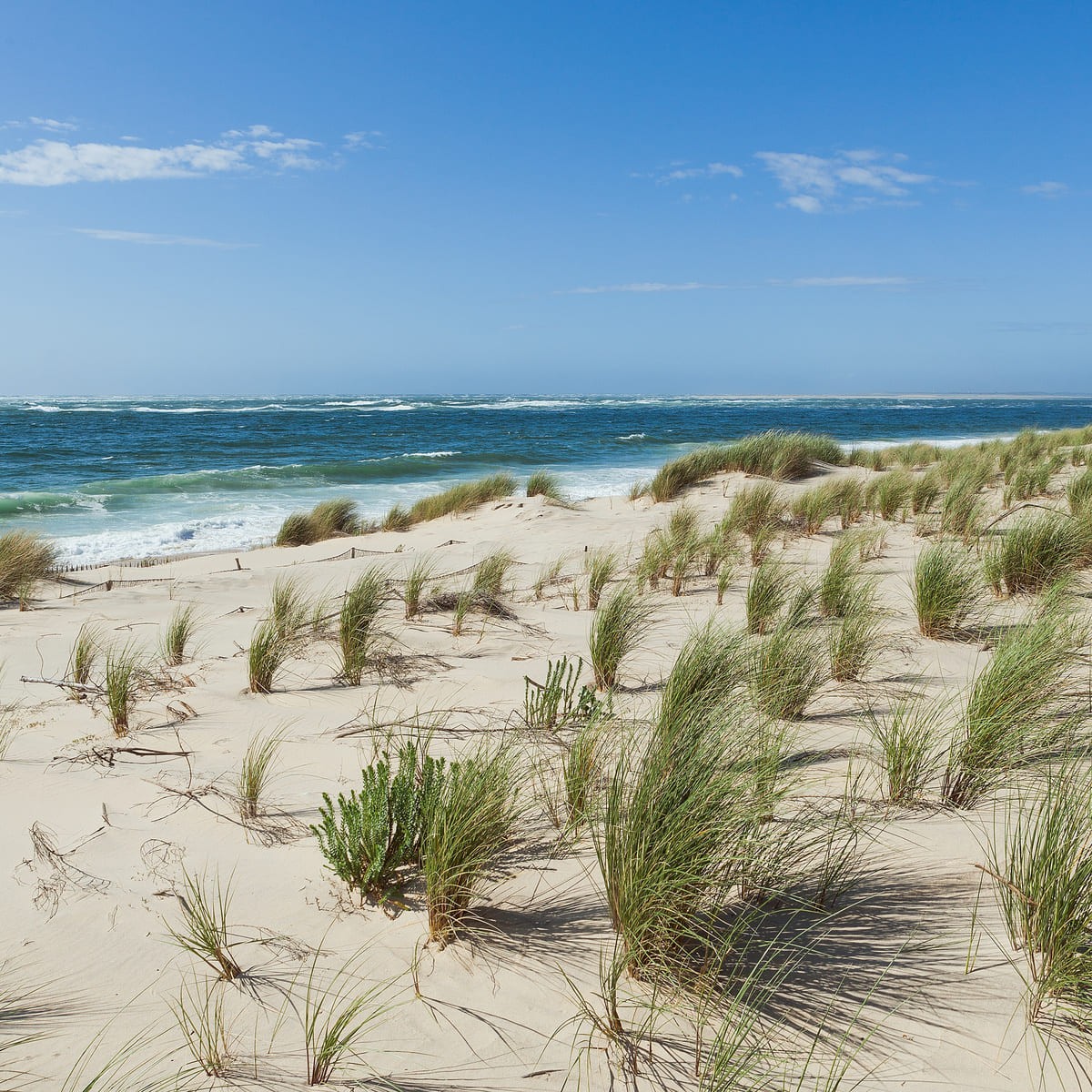 Tableau sur toile vent bassin d'Arcachon