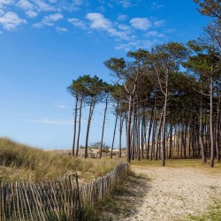 Tableau sur toile barrières d'Arcachon