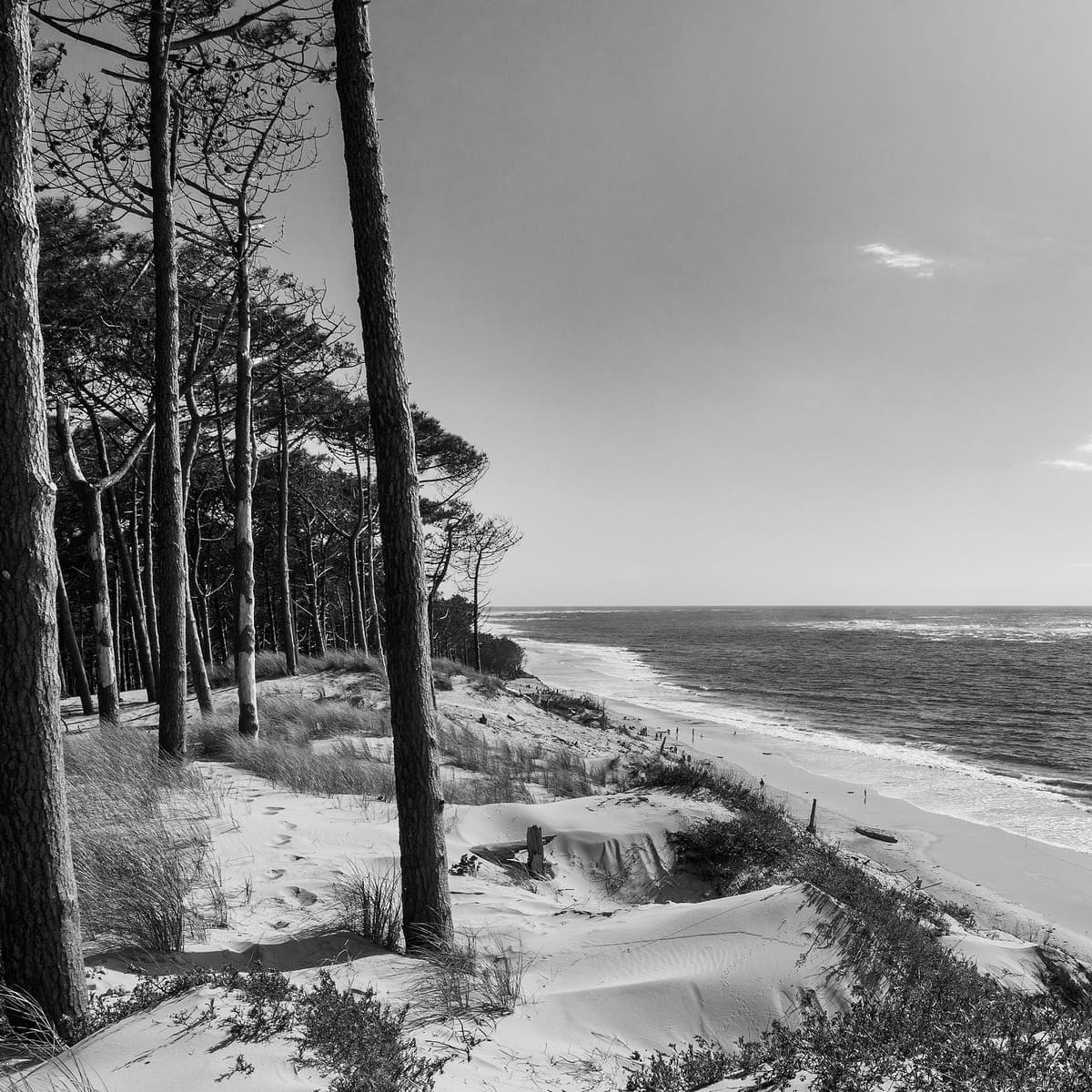 Tableau sur toile bassin d'Arcachon noir et blanc