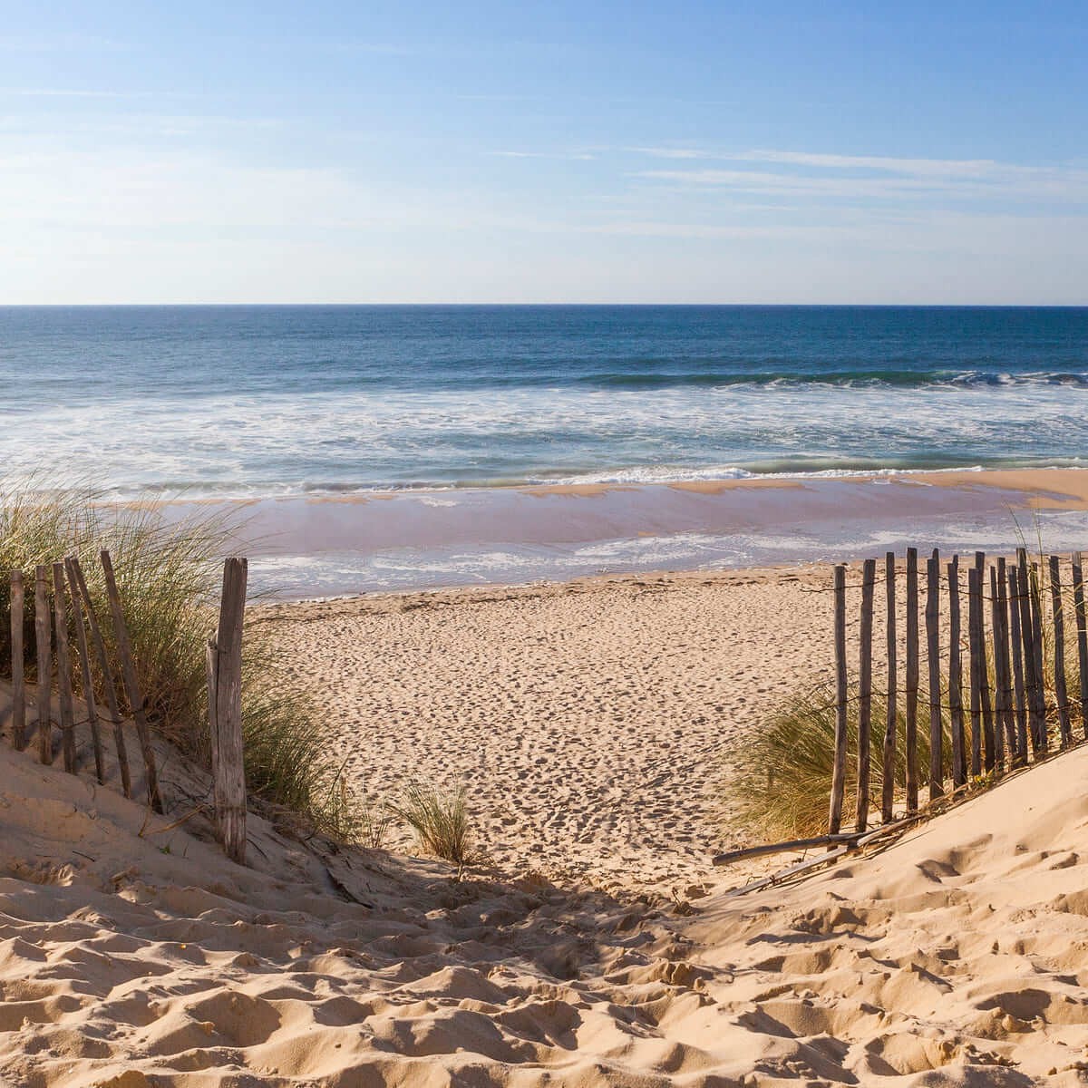 Tableau sur toile baie d'Arcachon