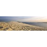 Tableau sur toile dune du Pilat