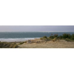 Tableau sur toile plage d'Arcachon