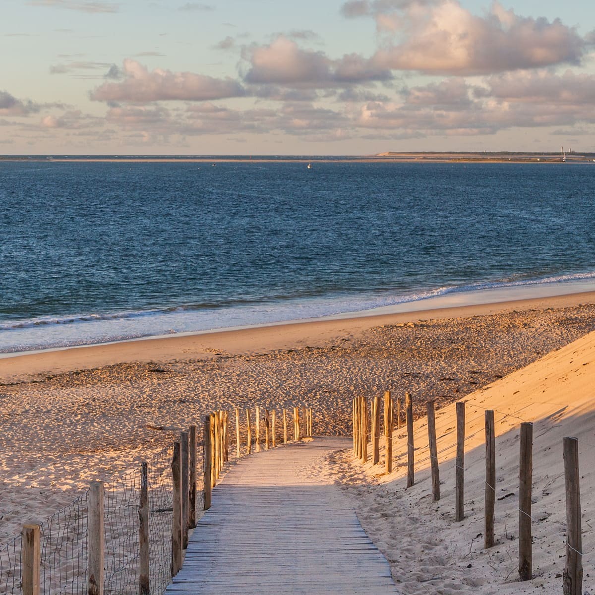 Tableau mural chemin d'Arcachon