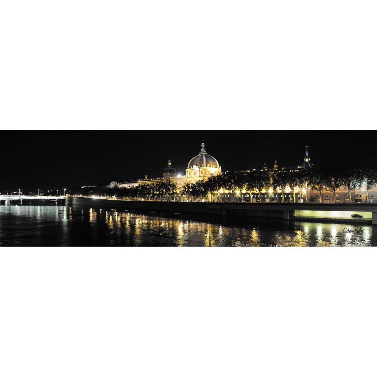 Tableau sur toile hôtel dieu 30x97 cm Tableau sur toile hôtel dieu 30x97 cm