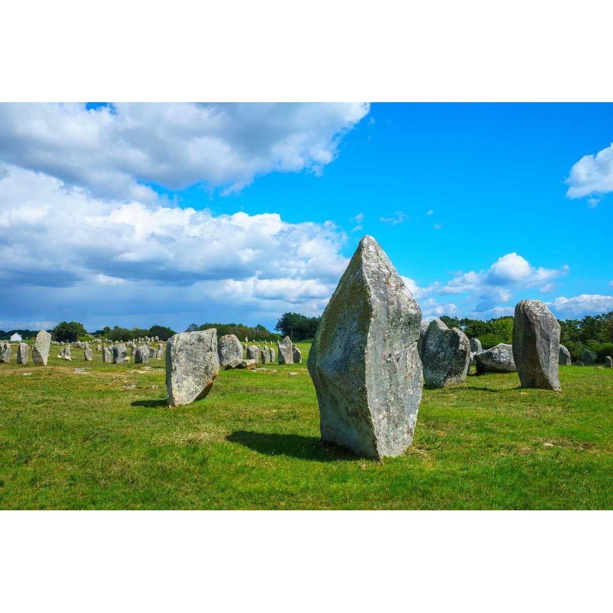 Tableau sur verre synthétique Menhirs de Carnac 65x97 cm