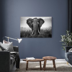 Tableau sur verre synthétique éléphant noir & blanc 80x120 cm