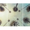 Triptyque sur toile palmiers 125x97 cm | Photoexpression