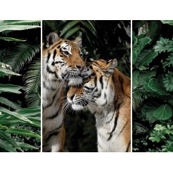Triptyque sur toile couple de tigres 125x97 cm
