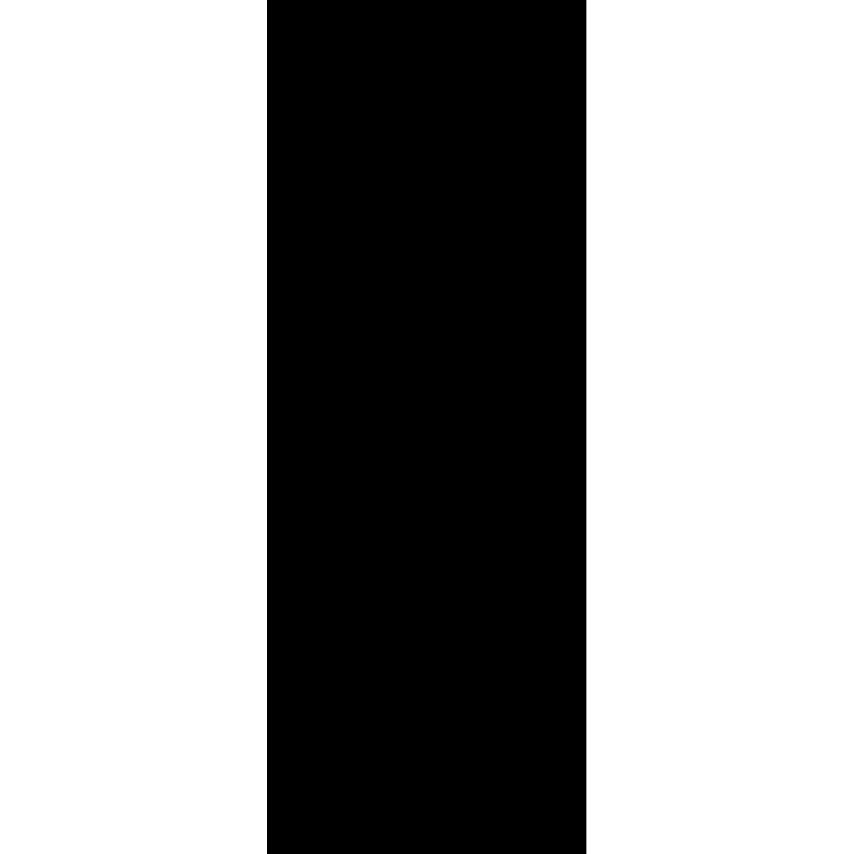 Radiateur électrique Allure noir 45x120 cm