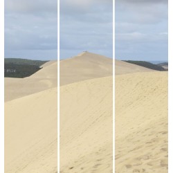 Triptyque sur toile dune Pilat 90x97 cm
