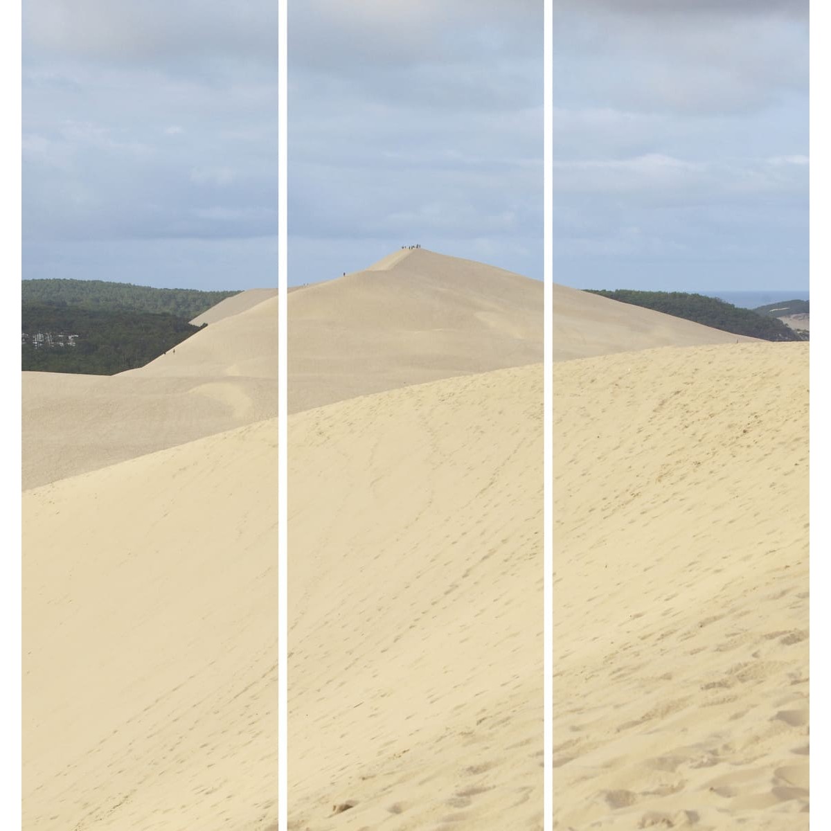 Triptyque sur toile dune Pilat 90x97 cm
