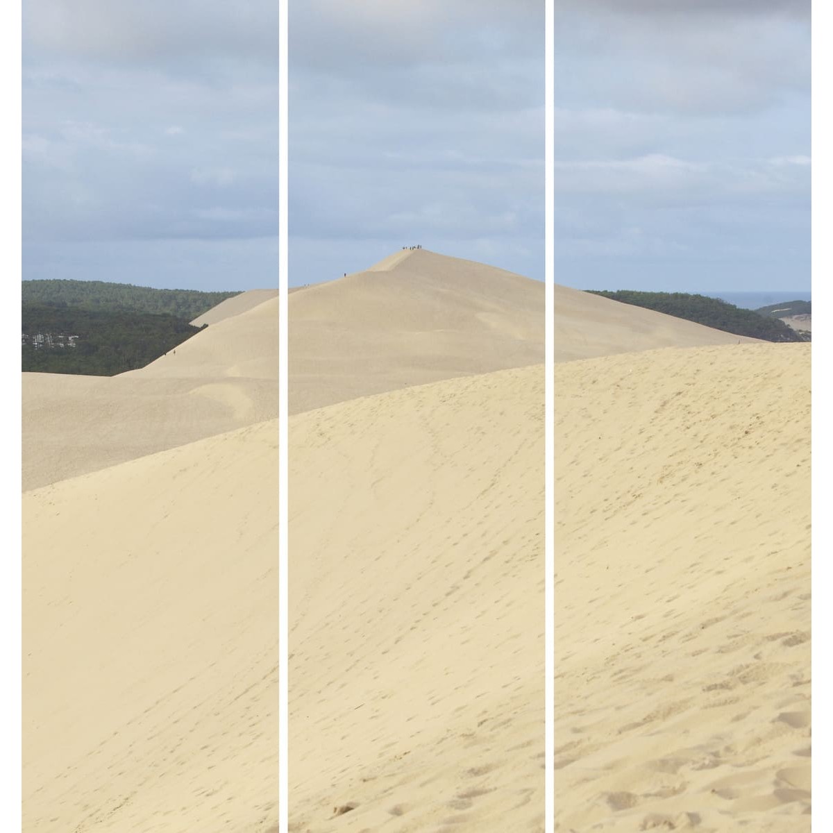 Triptyque sur toile dune Pilat 90x97 cm Triptyque sur toile dune Pilat 90x97 cm