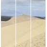 Triptyque sur toile dune Pilat 90x97 cm
