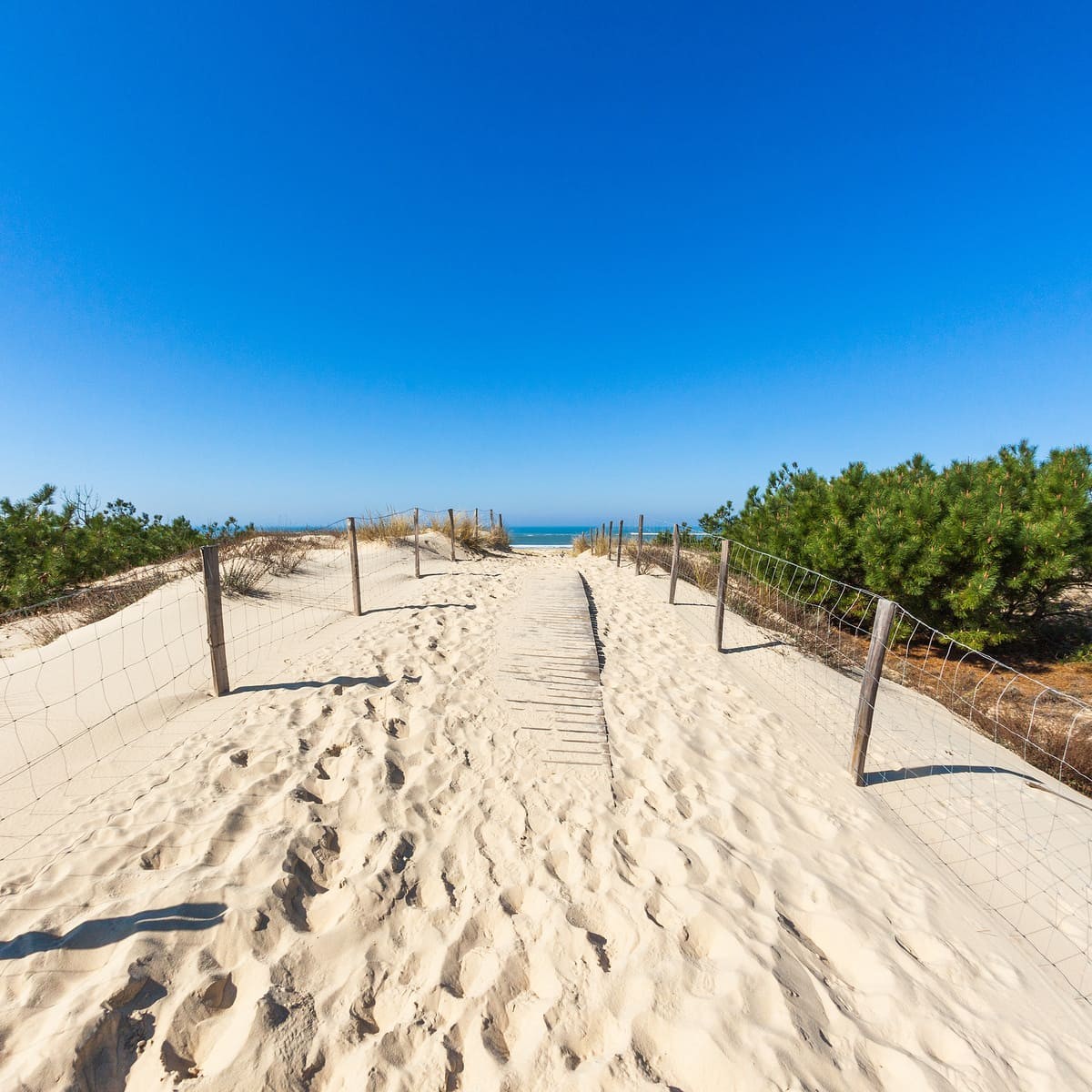 Tableau sur verre plage Salie 30x30 cm