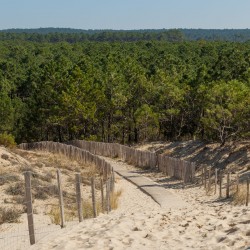 Tableau sur verre vue Salie sud 30x30 cm
