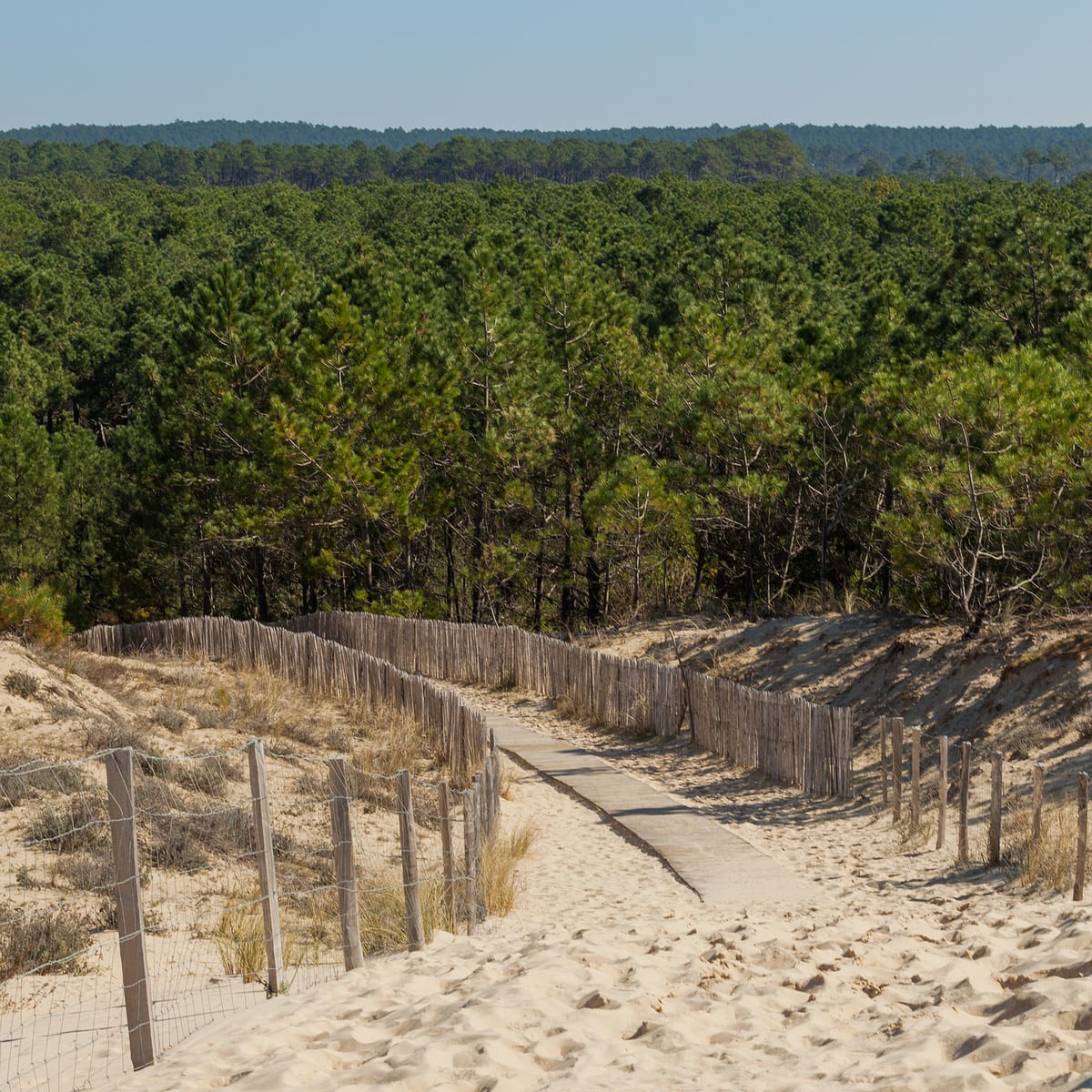 Tableau sur verre vue Salie sud 30x30 cm