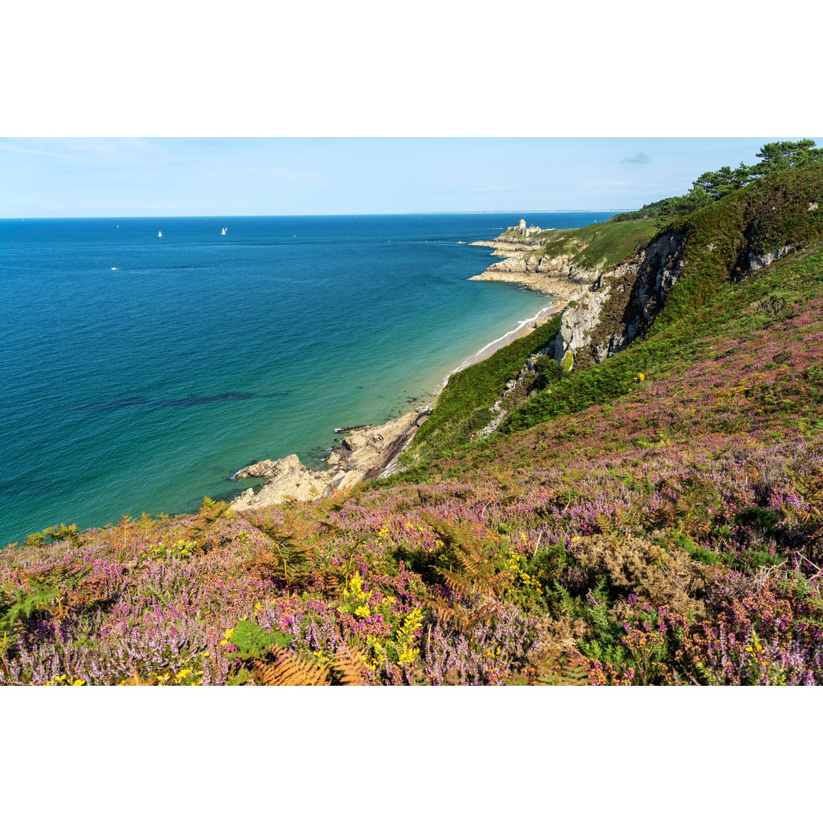 Tableau sur toile baie Fresnaye 45x65 cm