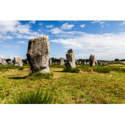 Tableau sur verre synthétique menhirs de Carnac 65x97 cm