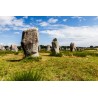 Tableau sur verre synthétique menhirs de Carnac 65x97 cm