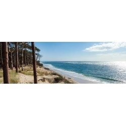 Tableau sur toile plage bassin Arcachon