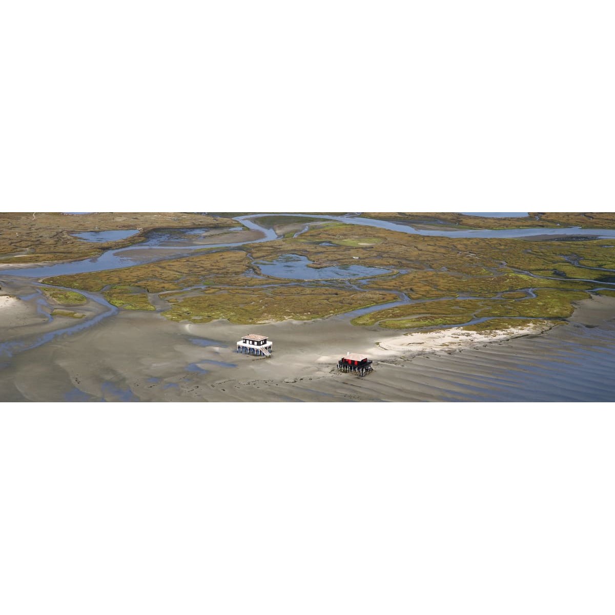 Tableau sur toile Arcachon île aux oiseaux