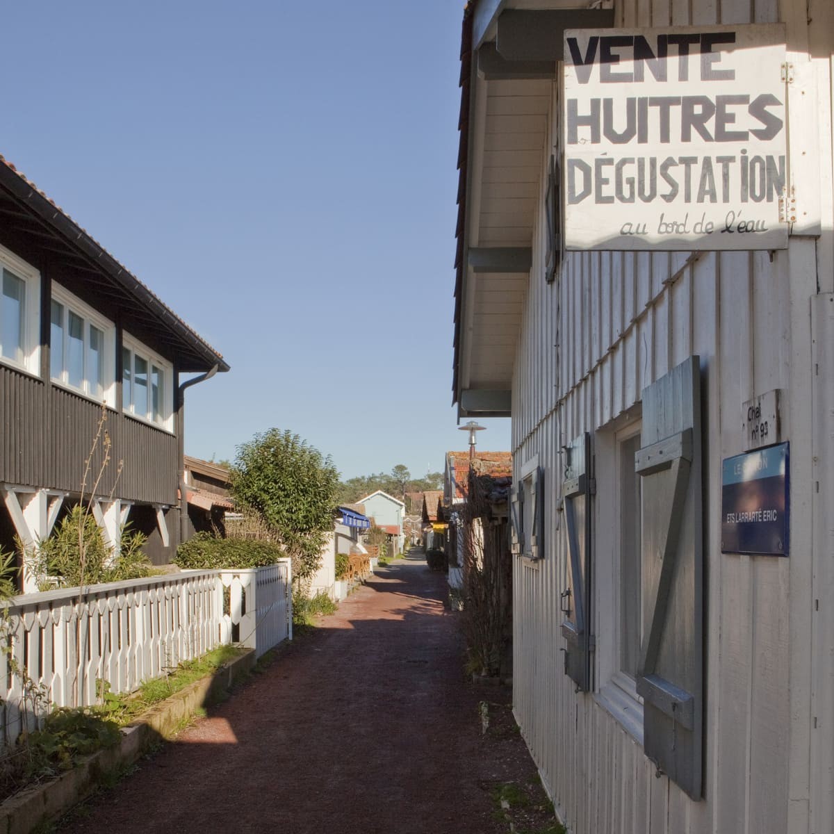 Tableau sur toile boutique à huîtres