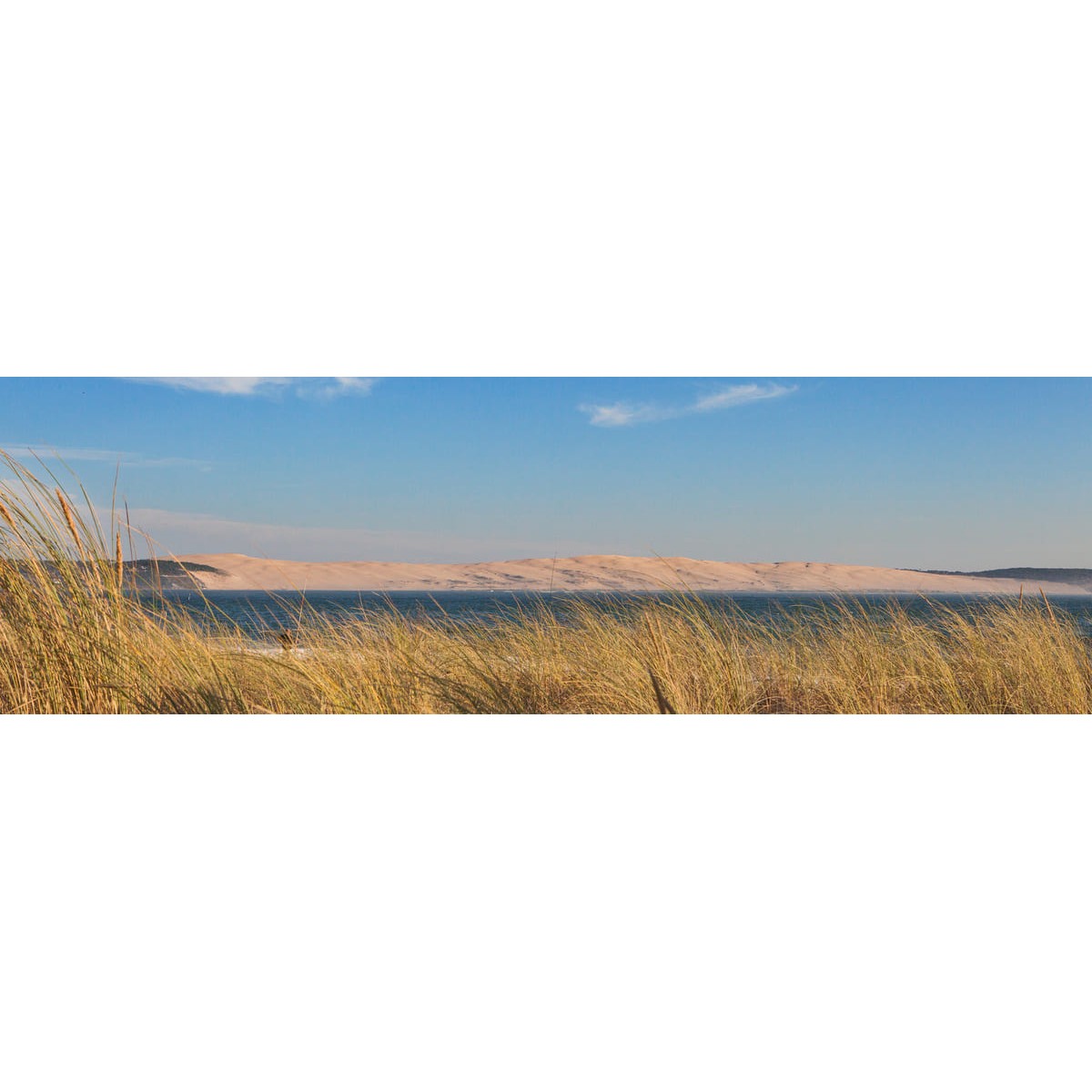 Tableau sur toile bassin lointain Tableau sur toile bassin lointain