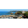 Tableau sur toile Biarritz port