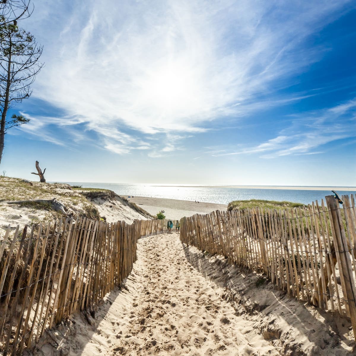 Tableau mural dune du Pilat | Photoexpression Tableau mural dune du Pilat | Photoexpression
