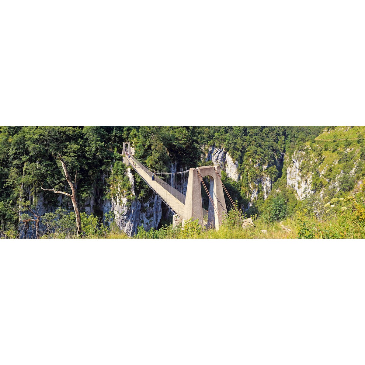 Tableau sur toile passerelle d'Holzarte 30x97 cm Tableau sur toile passerelle d'Holzarte 30x97 cm